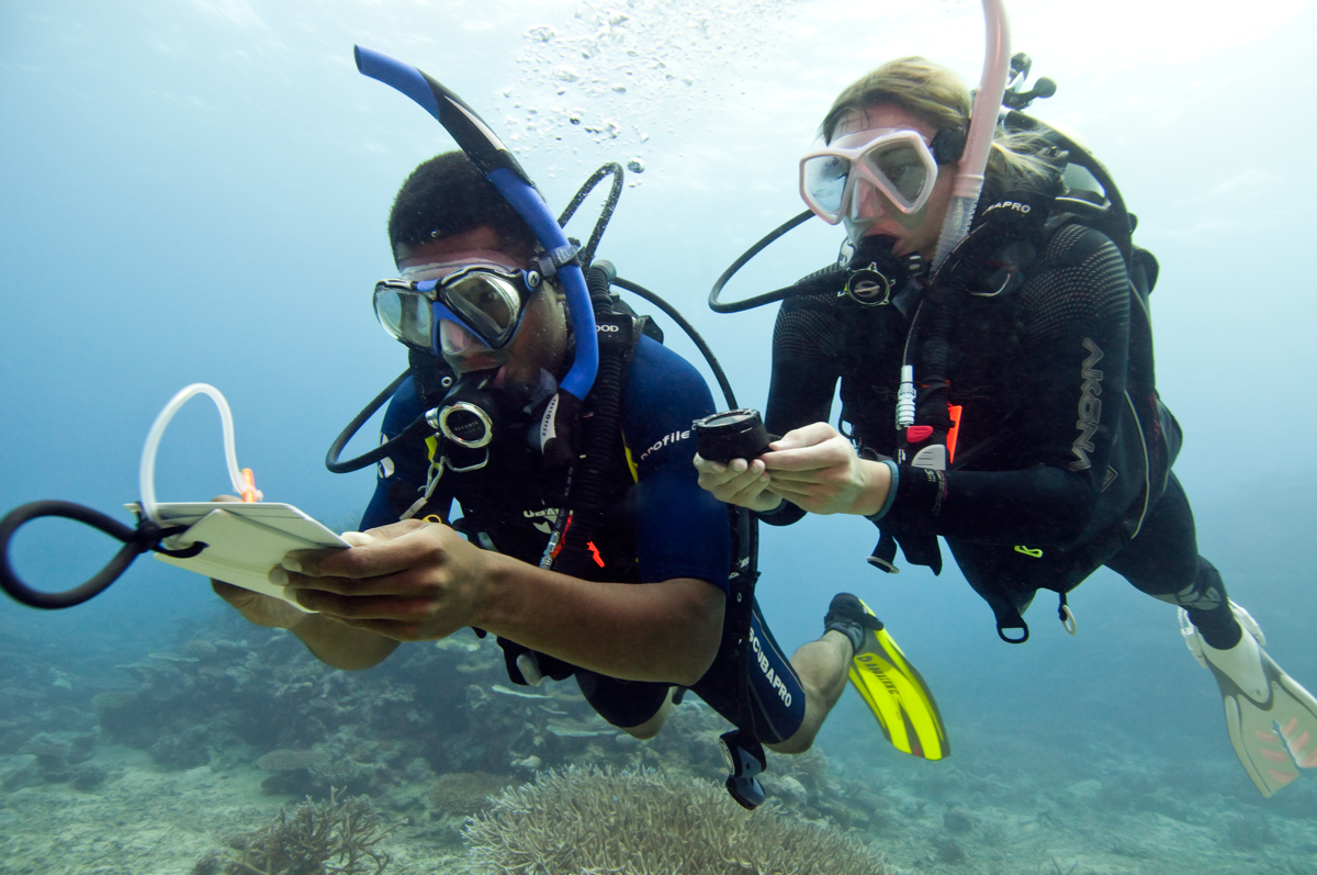 PADI Specialty cursus